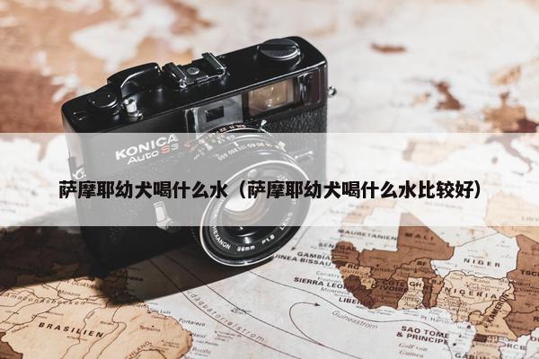 萨摩耶幼犬喝什么水（萨摩耶幼犬喝什么水比较好）