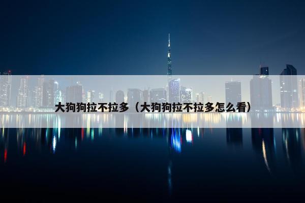 大狗狗拉不拉多（大狗狗拉不拉多怎么看）