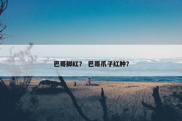 巴哥脚红？ 巴哥爪子红肿？