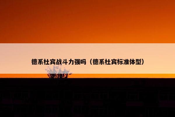 德系杜宾战斗力强吗（德系杜宾标准体型）