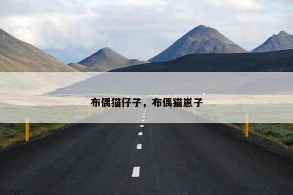 布偶猫仔子，布偶猫崽子