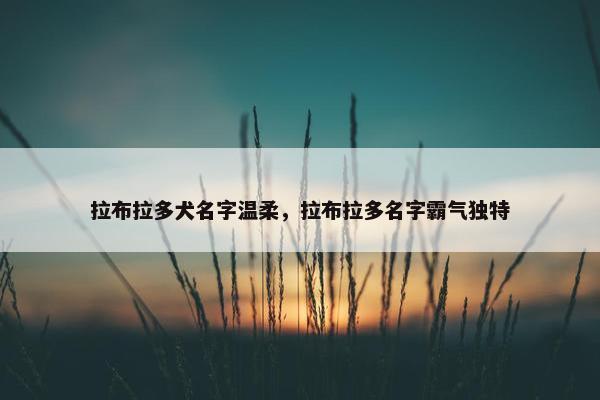 拉布拉多犬名字温柔，拉布拉多名字霸气独特