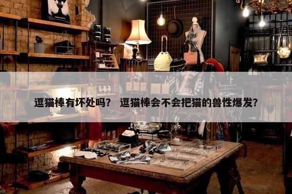 逗猫棒有坏处吗？ 逗猫棒会不会把猫的兽性爆发？