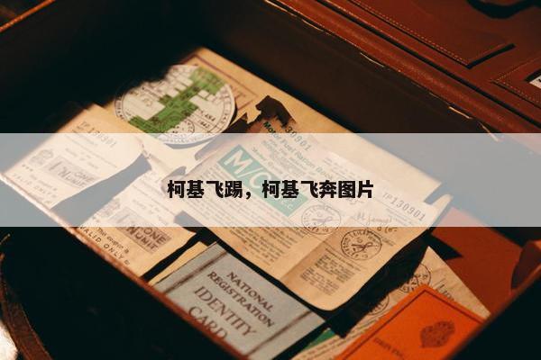 柯基飞踢，柯基飞奔图片