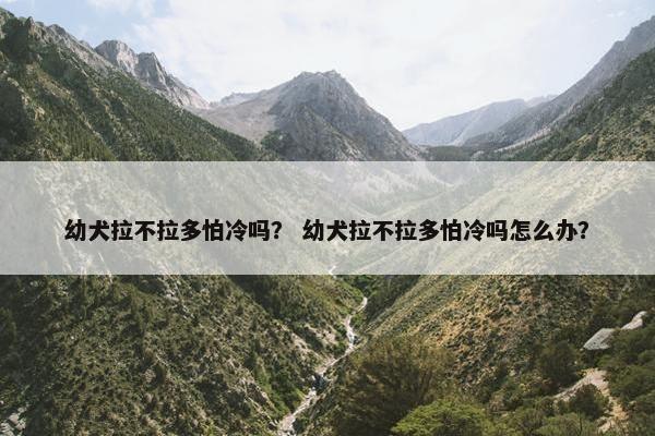 幼犬拉不拉多怕冷吗？ 幼犬拉不拉多怕冷吗怎么办？