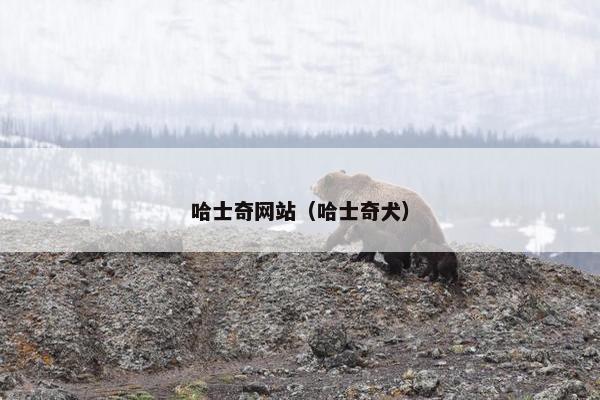 哈士奇网站（哈士奇犬）