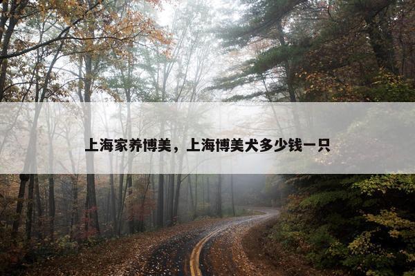 上海家养博美，上海博美犬多少钱一只