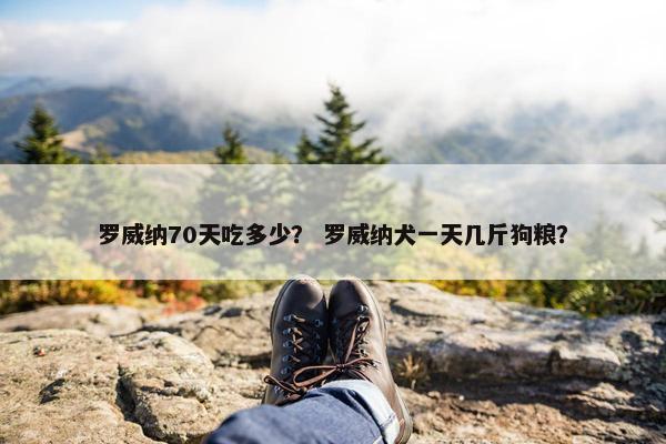 罗威纳70天吃多少？ 罗威纳犬一天几斤狗粮？