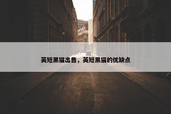 英短黑猫出售，英短黑猫的优缺点