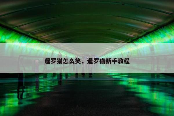 暹罗猫怎么笑，暹罗猫新手教程