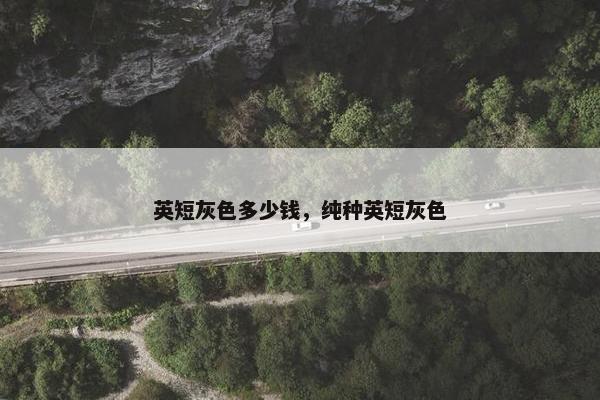 英短灰色多少钱，纯种英短灰色