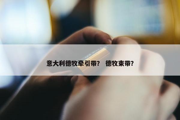 意大利德牧牵引带？ 德牧束带？