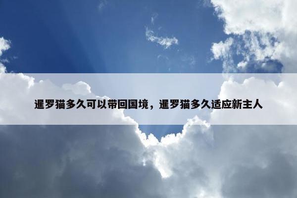 暹罗猫多久可以带回国境，暹罗猫多久适应新主人