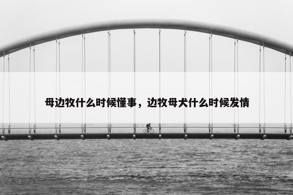 母边牧什么时候懂事，边牧母犬什么时候发情