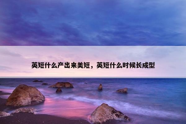英短什么产出来美短，英短什么时候长成型