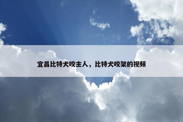 宜昌比特犬咬主人，比特犬咬架的视频