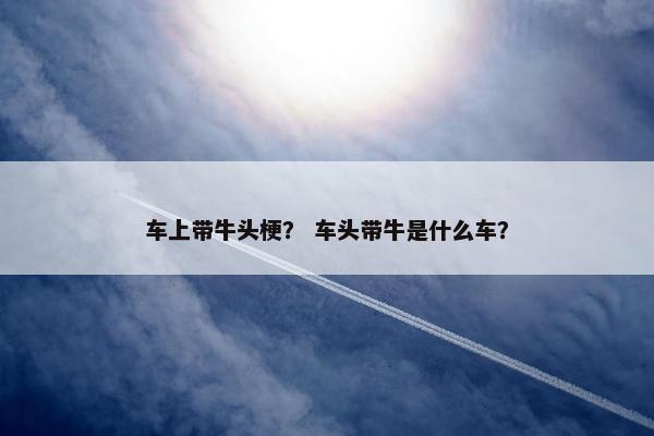 车上带牛头梗？ 车头带牛是什么车？