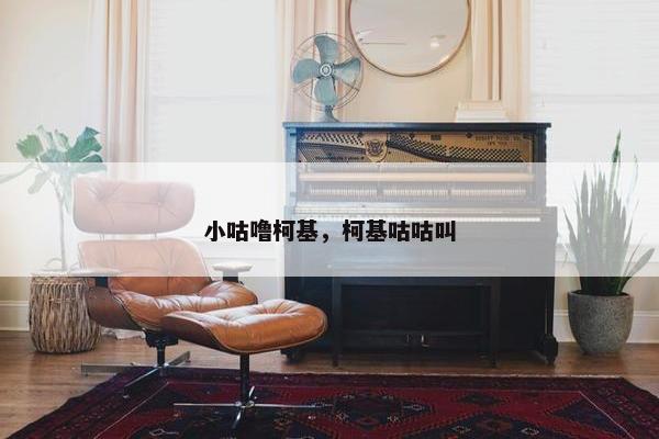 小咕噜柯基，柯基咕咕叫