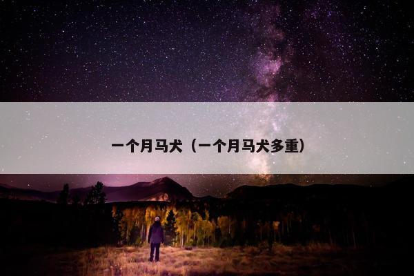 一个月马犬（一个月马犬多重）