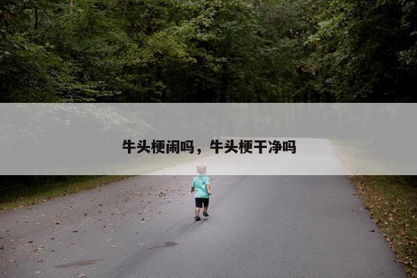 牛头梗闹吗，牛头梗干净吗