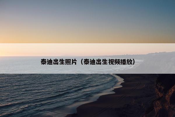 泰迪出生照片（泰迪出生视频播放）