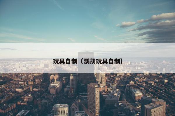 玩具自制（鹦鹉玩具自制）