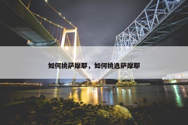 如何挑萨摩耶，如何挑选萨摩耶
