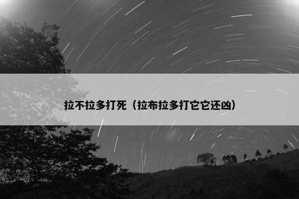 拉不拉多打死（拉布拉多打它它还凶）