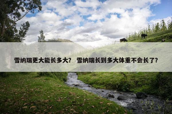 雪纳瑞更大能长多大？ 雪纳瑞长到多大体重不会长了？
