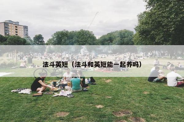 法斗英短（法斗和英短能一起养吗）
