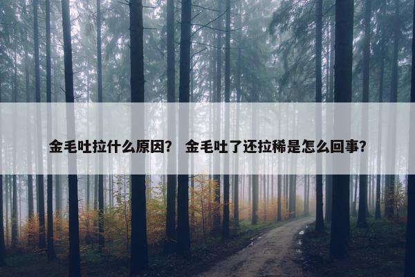 金毛吐拉什么原因？ 金毛吐了还拉稀是怎么回事？
