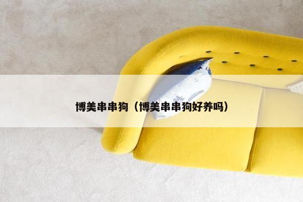 博美串串狗（博美串串狗好养吗）