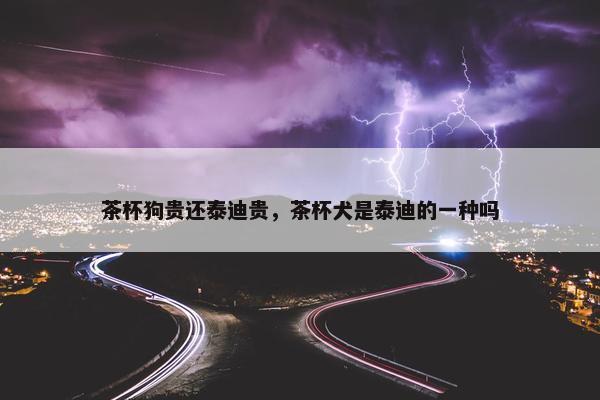 茶杯狗贵还泰迪贵，茶杯犬是泰迪的一种吗