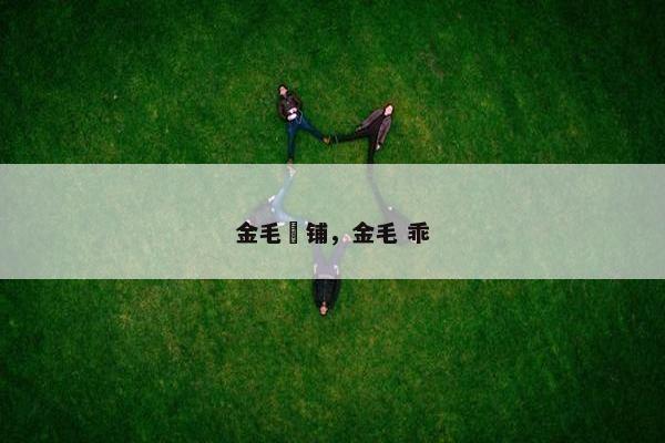 金毛扂铺，金毛 乖