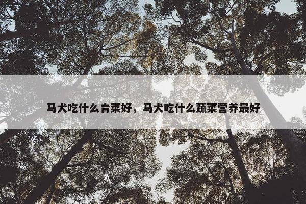 马犬吃什么青菜好，马犬吃什么蔬菜营养最好