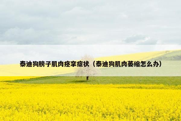 泰迪狗膀子肌肉痉挛症状（泰迪狗肌肉萎缩怎么办）