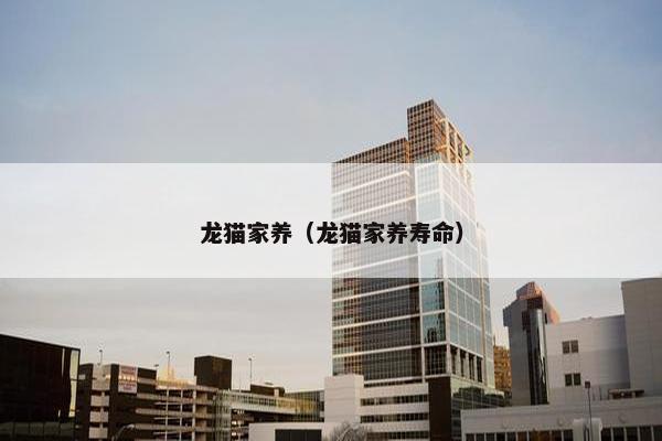 龙猫家养（龙猫家养寿命）