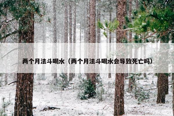 两个月法斗喝水（两个月法斗喝水会导致死亡吗）