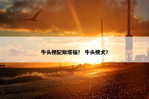 牛头梗配斯塔福？ 牛头梗犬？