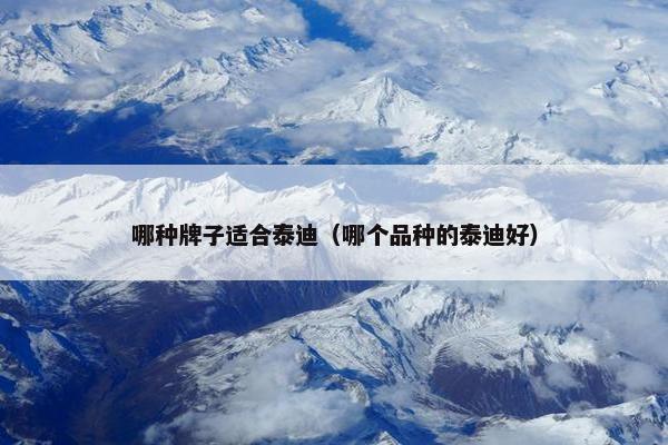 哪种牌子适合泰迪（哪个品种的泰迪好）