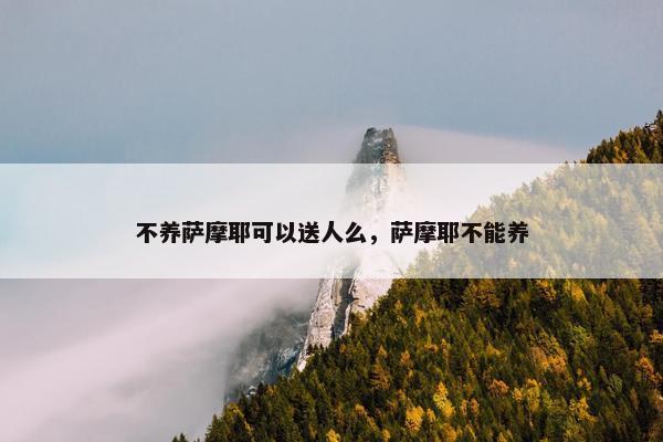 不养萨摩耶可以送人么，萨摩耶不能养
