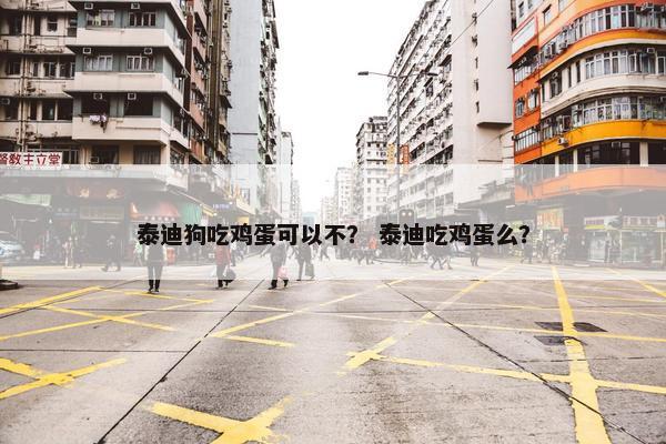 泰迪狗吃鸡蛋可以不？ 泰迪吃鸡蛋么？