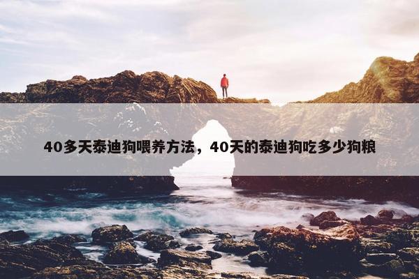 40多天泰迪狗喂养方法，40天的泰迪狗吃多少狗粮