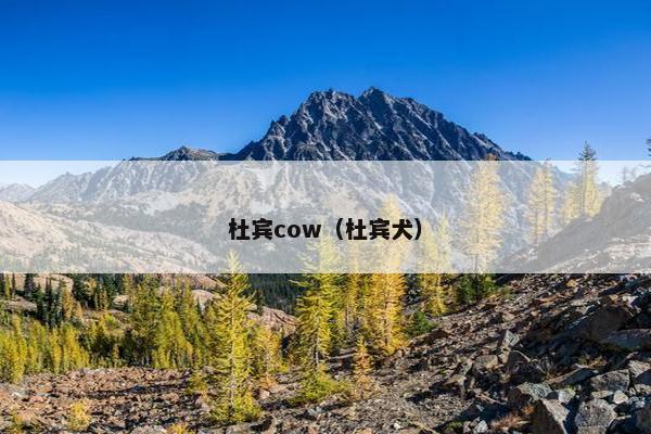 杜宾cow（杜宾犬）