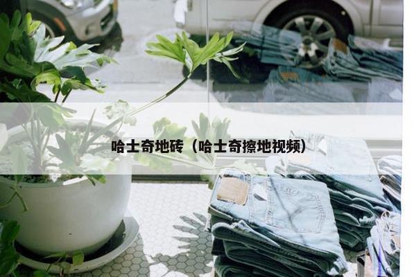 哈士奇地砖（哈士奇擦地视频）