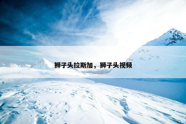 狮子头拉斯加，狮子头视频