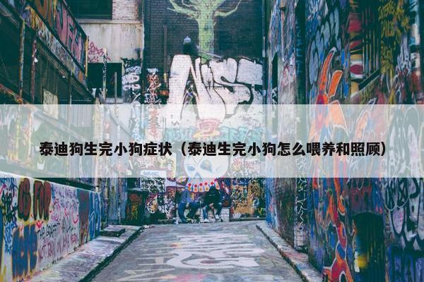泰迪狗生完小狗症状（泰迪生完小狗怎么喂养和照顾）
