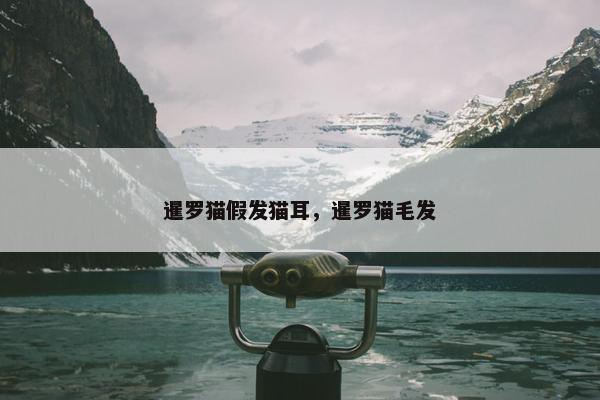暹罗猫假发猫耳，暹罗猫毛发