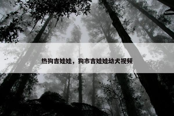 热狗吉娃娃，狗市吉娃娃幼犬视频