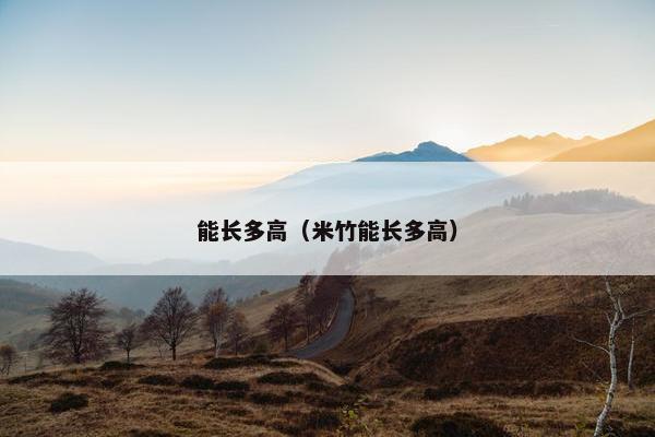 能长多高（米竹能长多高）